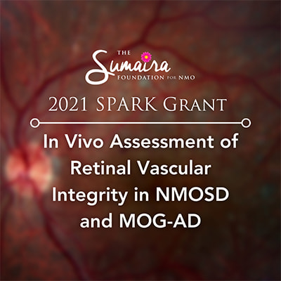 In vivo assessment of retinal vascular integrity in NMOSD and MOG-AD (2021)