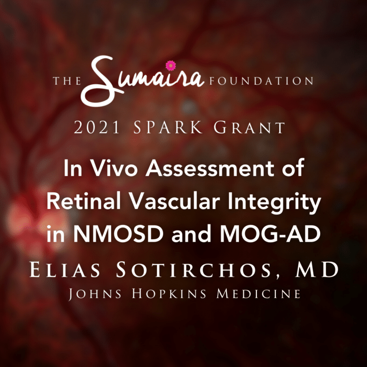 In vivo assessment of retinal vascular integrity in NMOSD and MOG-AD