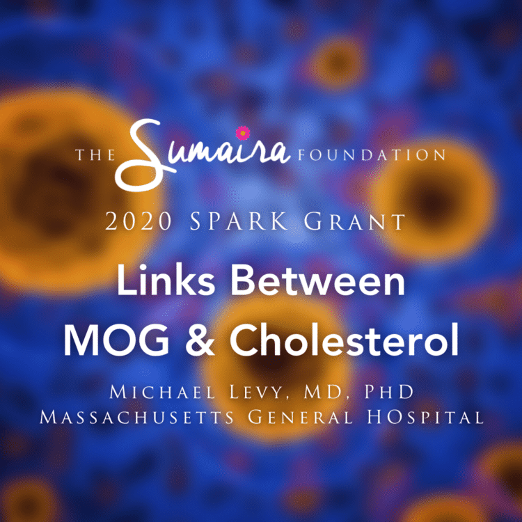 Link between MOG & Cholesterol