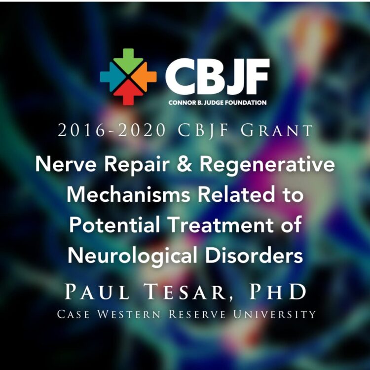 Nerve Repair & Regenerative Mechanisms Related to Potential Treatment of Neurological Disorders