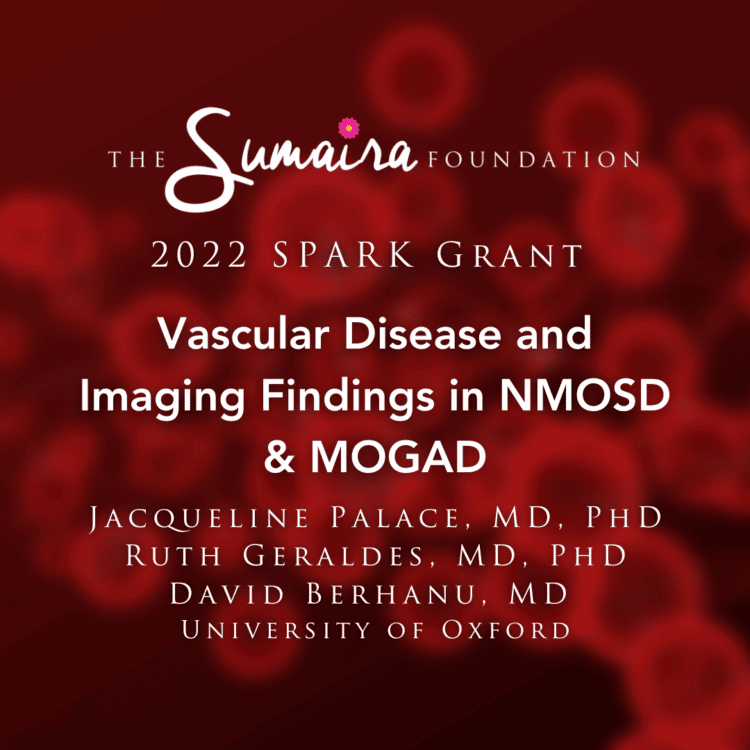 Vascular Disease and Imaging Findings in NMOSD & MOGAD