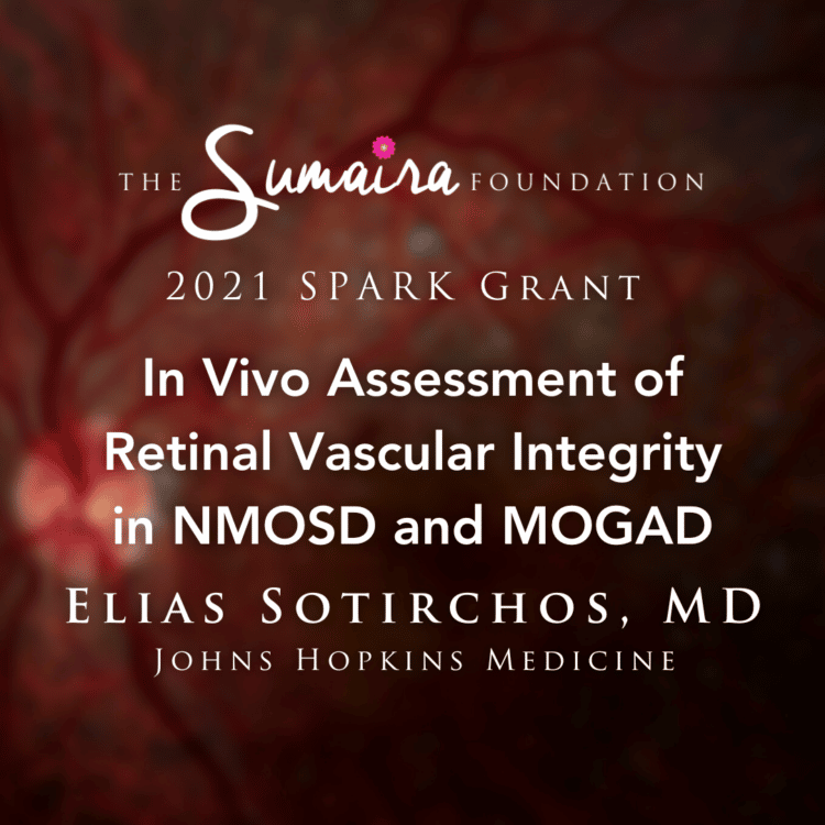 In vivo assessment of retinal vascular integrity in NMOSD and MOGAD