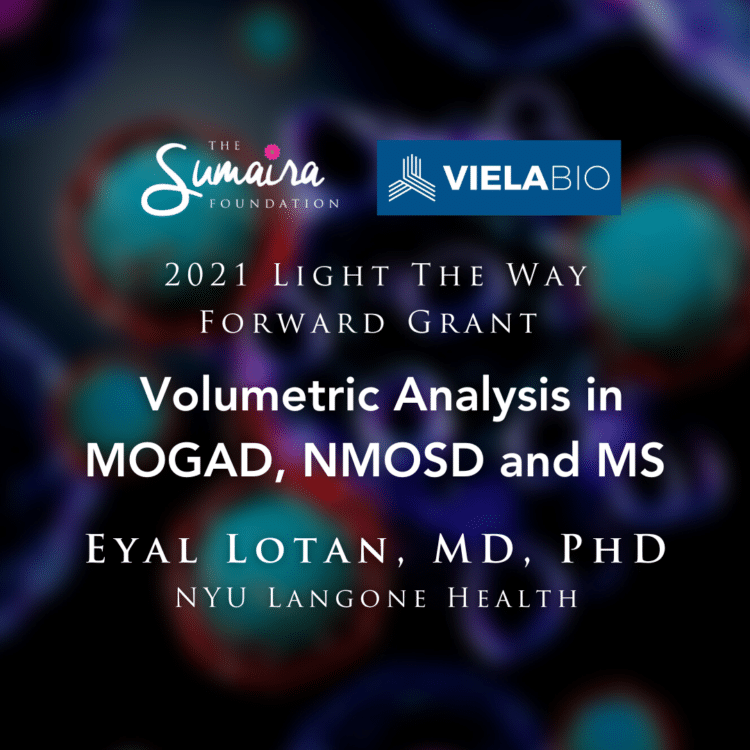 Volumetric Analysis in MOGAD, NMOSD, and MS