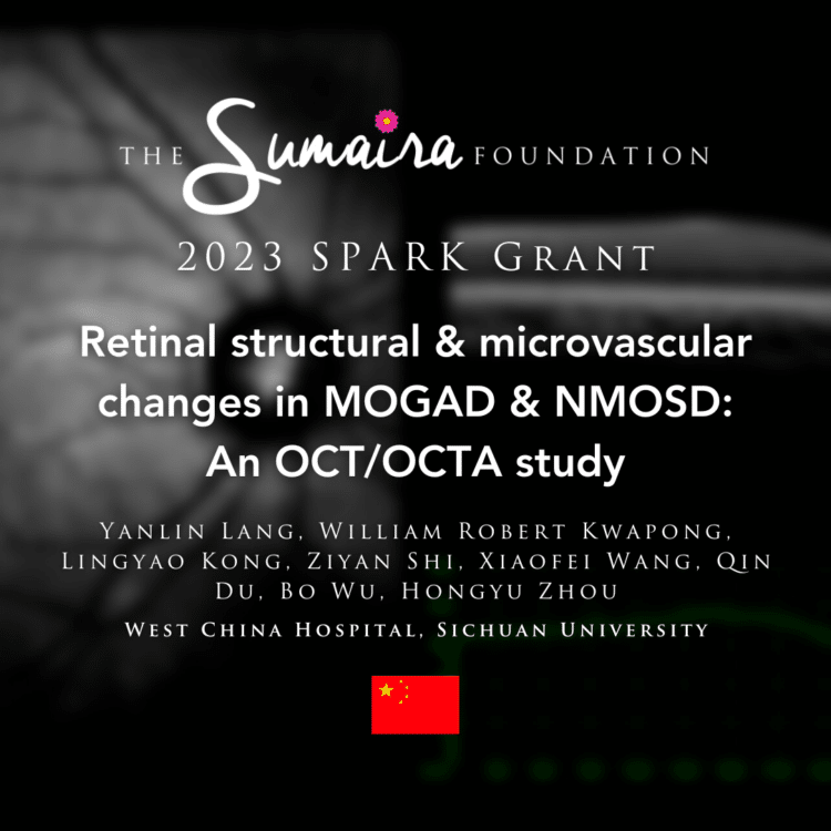 Retinal structural and microvascular changes in MOGAD & NMOSD: An OCT/OCTA study