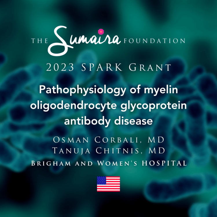 Pathophysiology of MOGAD