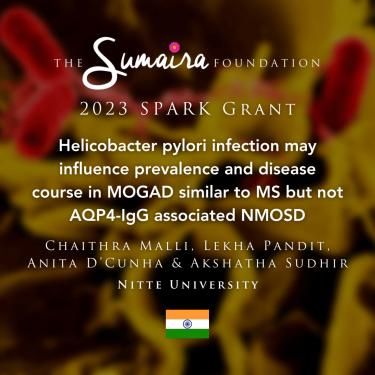 Helicobacter pylori infection may influence prevalence and disease course in MOGAD similar to MS but not AQP4-IgG associated NMOSD