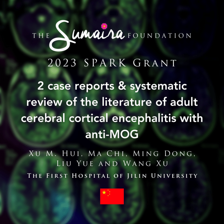 Two case reports and systematic review of the literature of adult cerebral cortical encephalitis with anti-myelin oligodendrocyte glycoprotein antibody