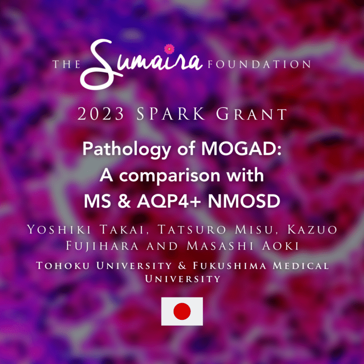 Pathology of MOGAD: A comparison with MS and AQP4+ NMOSD