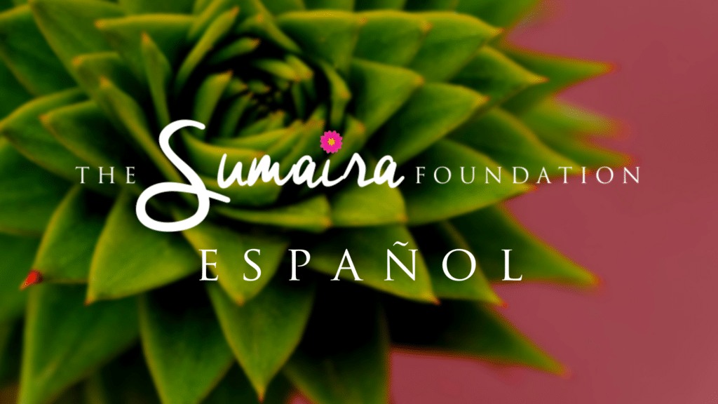 TSF Espanol