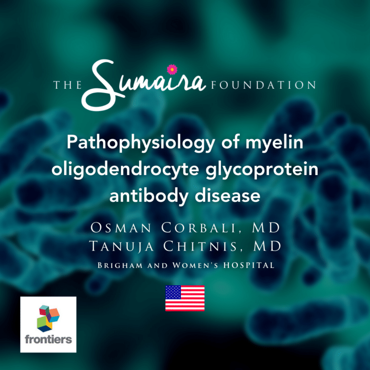 Pathophysiology of MOGAD