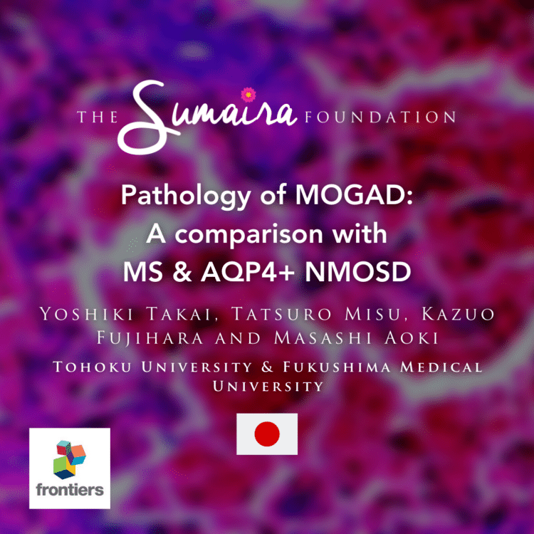 Pathology of MOGAD: A comparison with MS and AQP4+ NMOSD