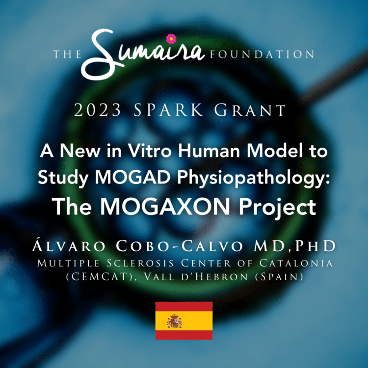 A New in Vitro Human Model to Study MOGAD Physiopathology: The MOGAXON Project