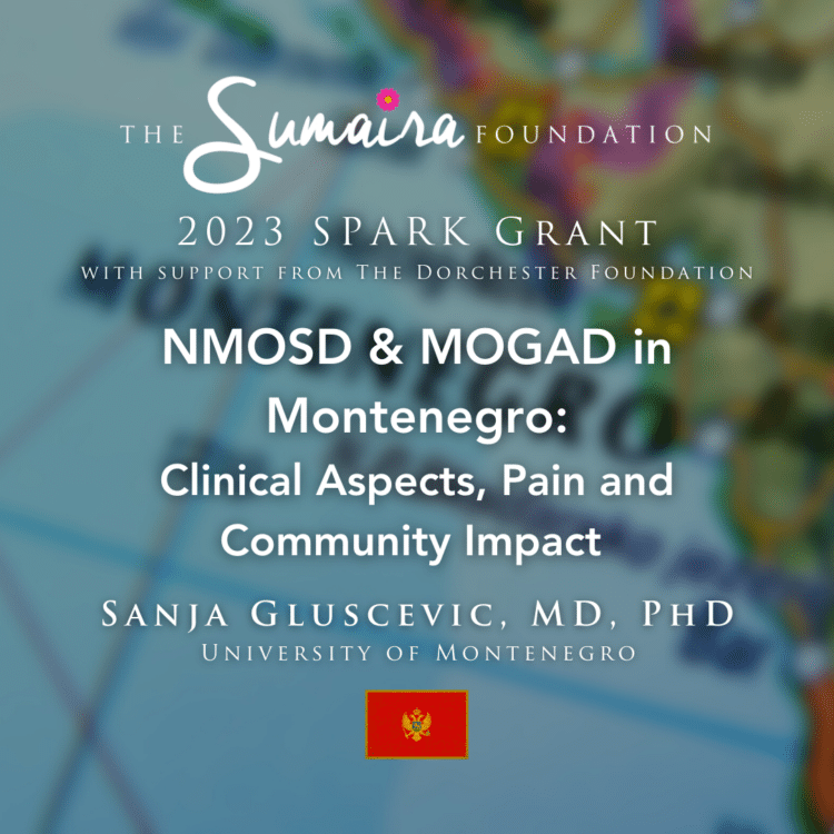 NMOSD and MOGAD in Montenegro: Clinical Aspects, Pain, and Community Impact 