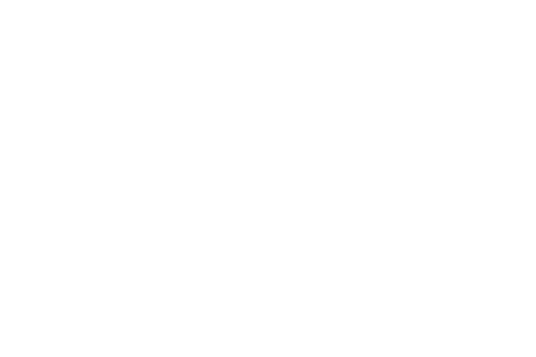 Sumaira Foundation Logo