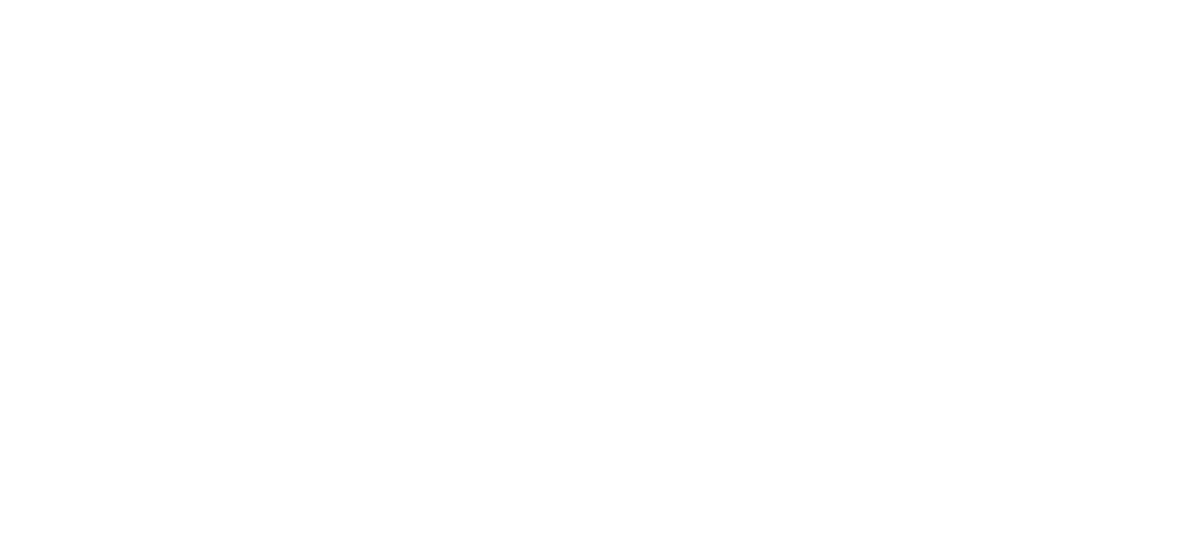 Sumaira Foundation Logo